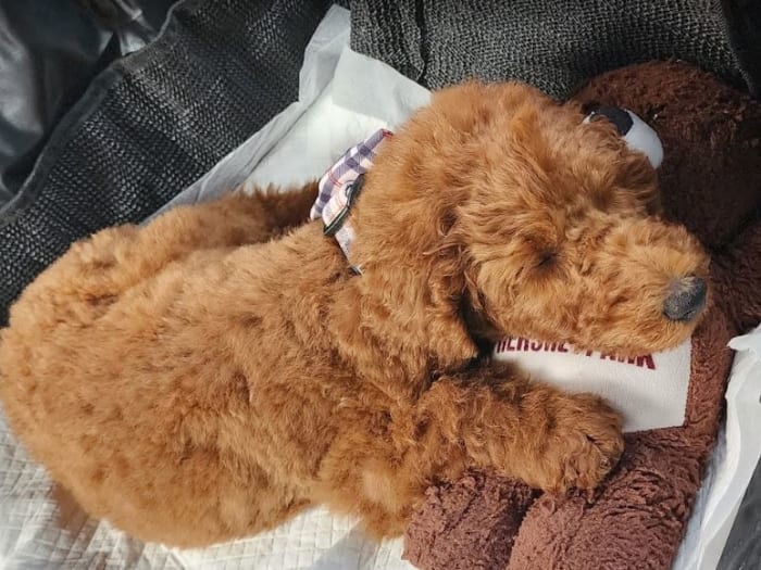 Photo from testimonial by Anonymous