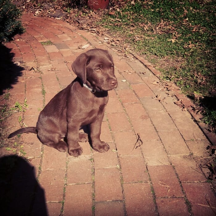 Photo from testimonial by Anonymous