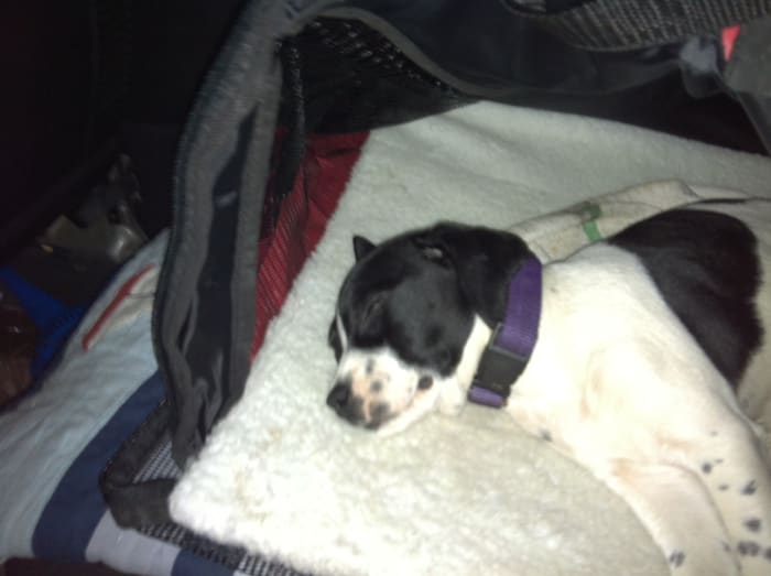 Photo from testimonial by Anonymous