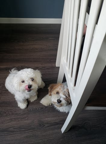 Photo from testimonial by Anonymous