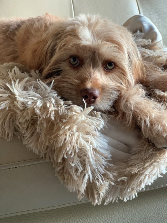 Photo from testimonial by Anonymous