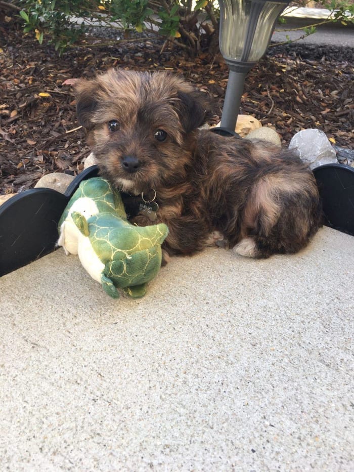 Photo from testimonial by Anonymous