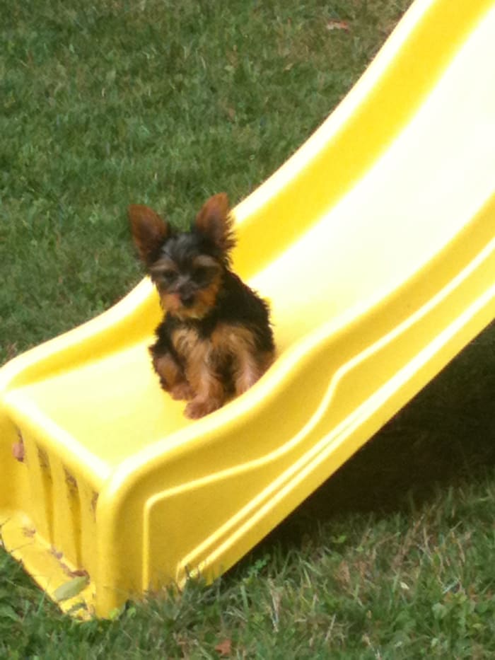 Photo from testimonial by Anonymous