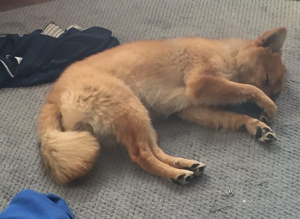 Photo from testimonial by Anonymous