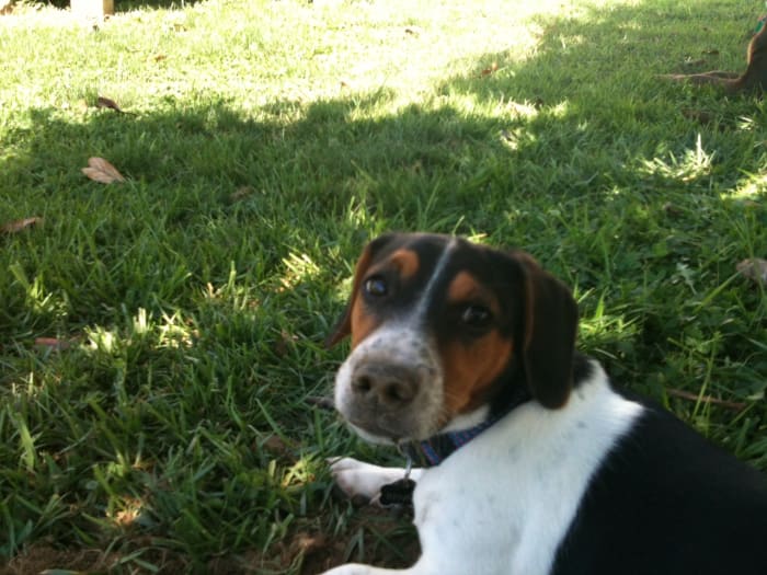 Photo from testimonial by Anonymous