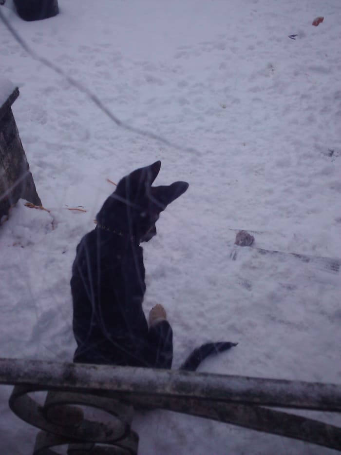 Photo from testimonial by Anonymous