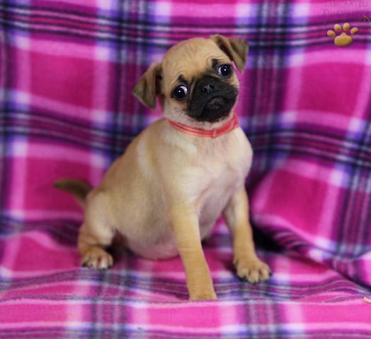 Photo from testimonial by Anonymous