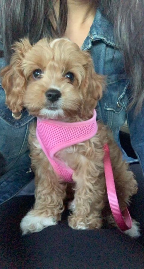 Photo from testimonial by Anonymous