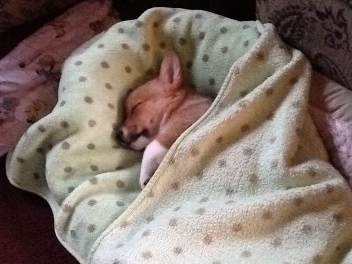 Photo from testimonial by Anonymous