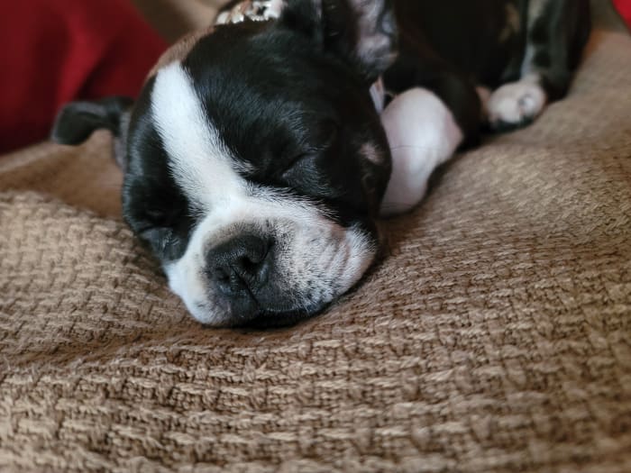 Photo from testimonial by Anonymous