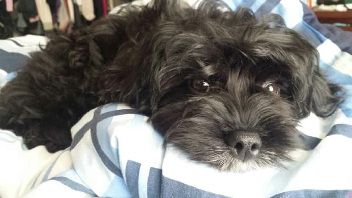 Photo from testimonial by Anonymous