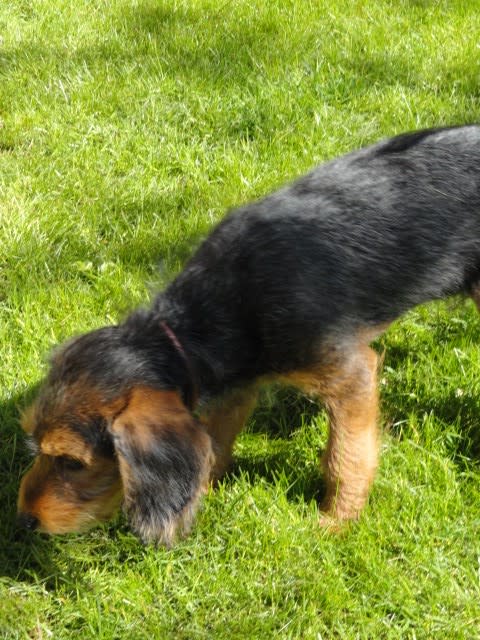 Photo from testimonial by Anonymous