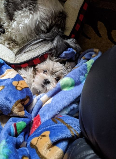 Photo from testimonial by Anonymous