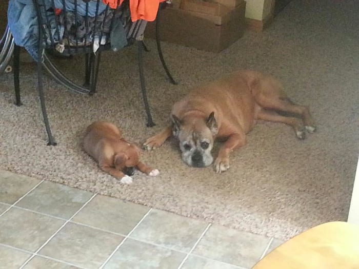 Photo from testimonial by Anonymous