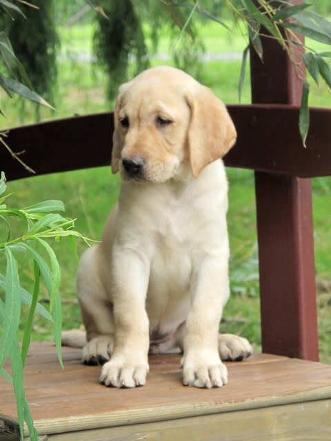 Photo from testimonial by Anonymous