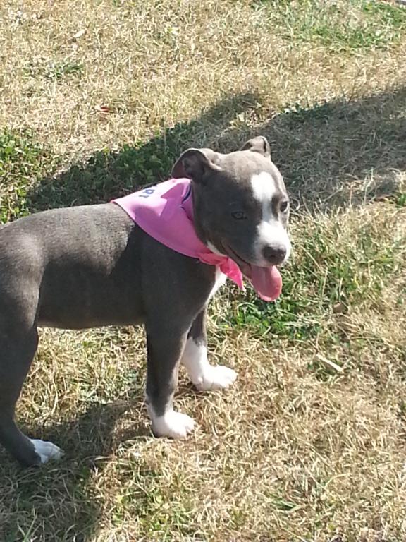 Photo from testimonial by Anonymous