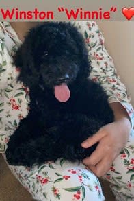 Photo from testimonial by Anonymous