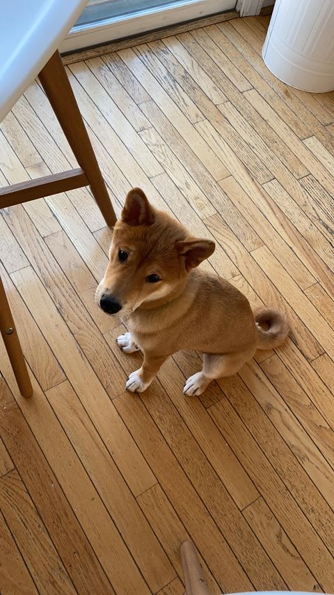 Photo from testimonial by Anonymous