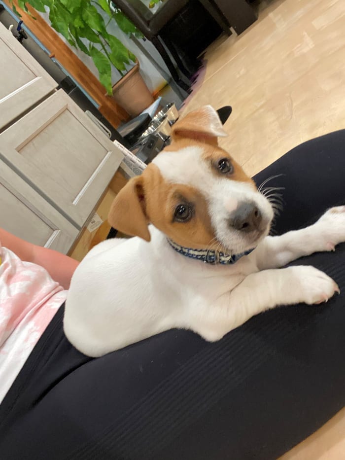 Photo from testimonial by Anonymous