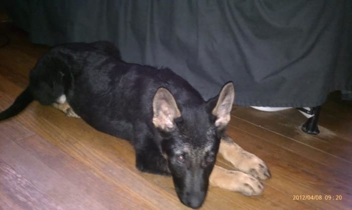 Photo from testimonial by Anonymous