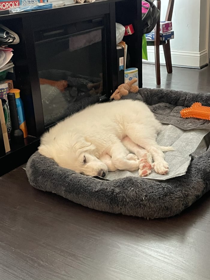 Photo from testimonial by Anonymous