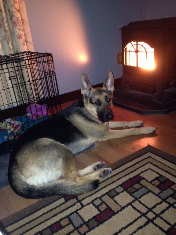 Photo from testimonial by Anonymous