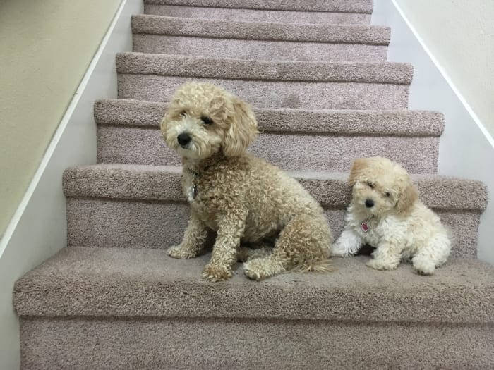 Photo from testimonial by Anonymous