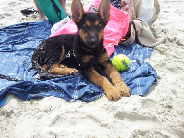 Photo from testimonial by Anonymous