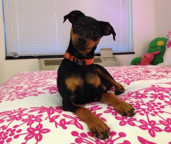 Photo from testimonial by Anonymous