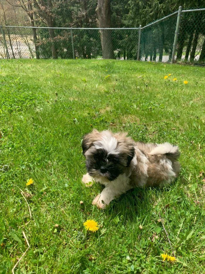 Photo from testimonial by Anonymous