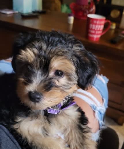 Photo from testimonial by Anonymous