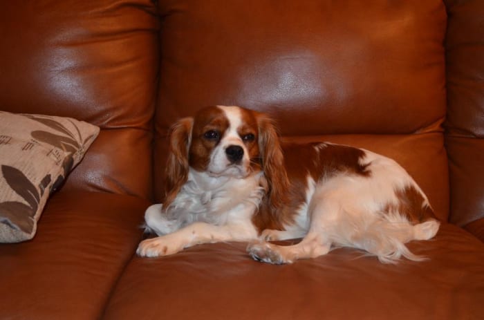 Photo from testimonial by Anonymous