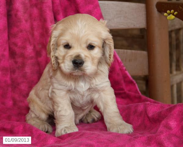 Photo from testimonial by Anonymous