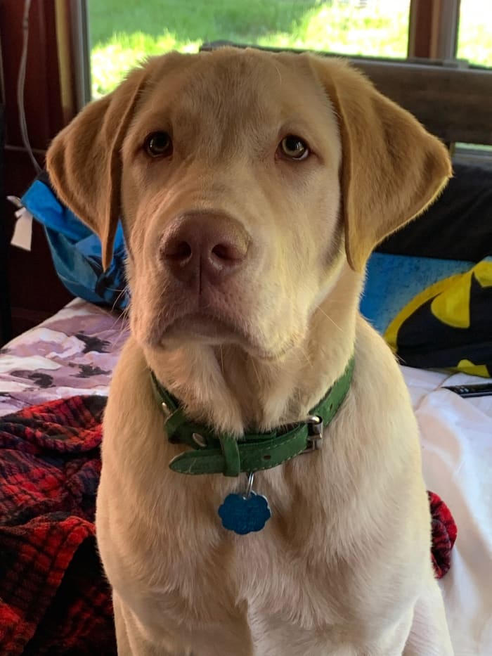 Photo from testimonial by Anonymous