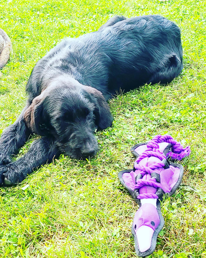 Photo from testimonial by Anonymous