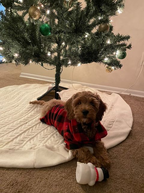 Photo from testimonial by Anonymous