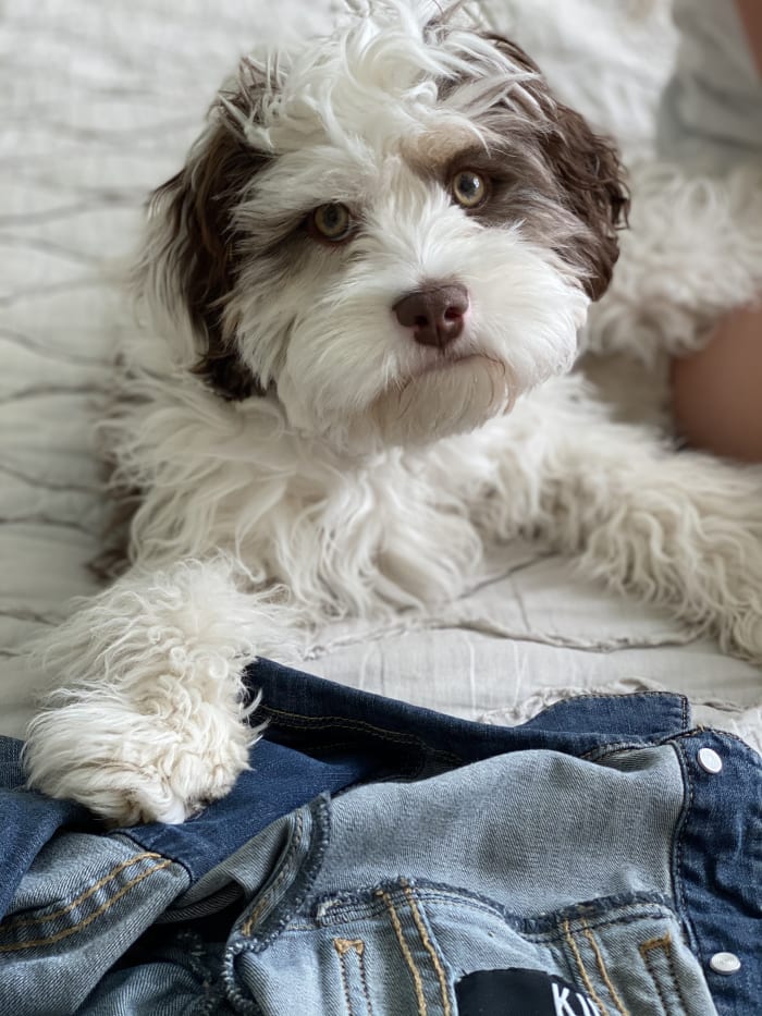 Photo from testimonial by Anonymous