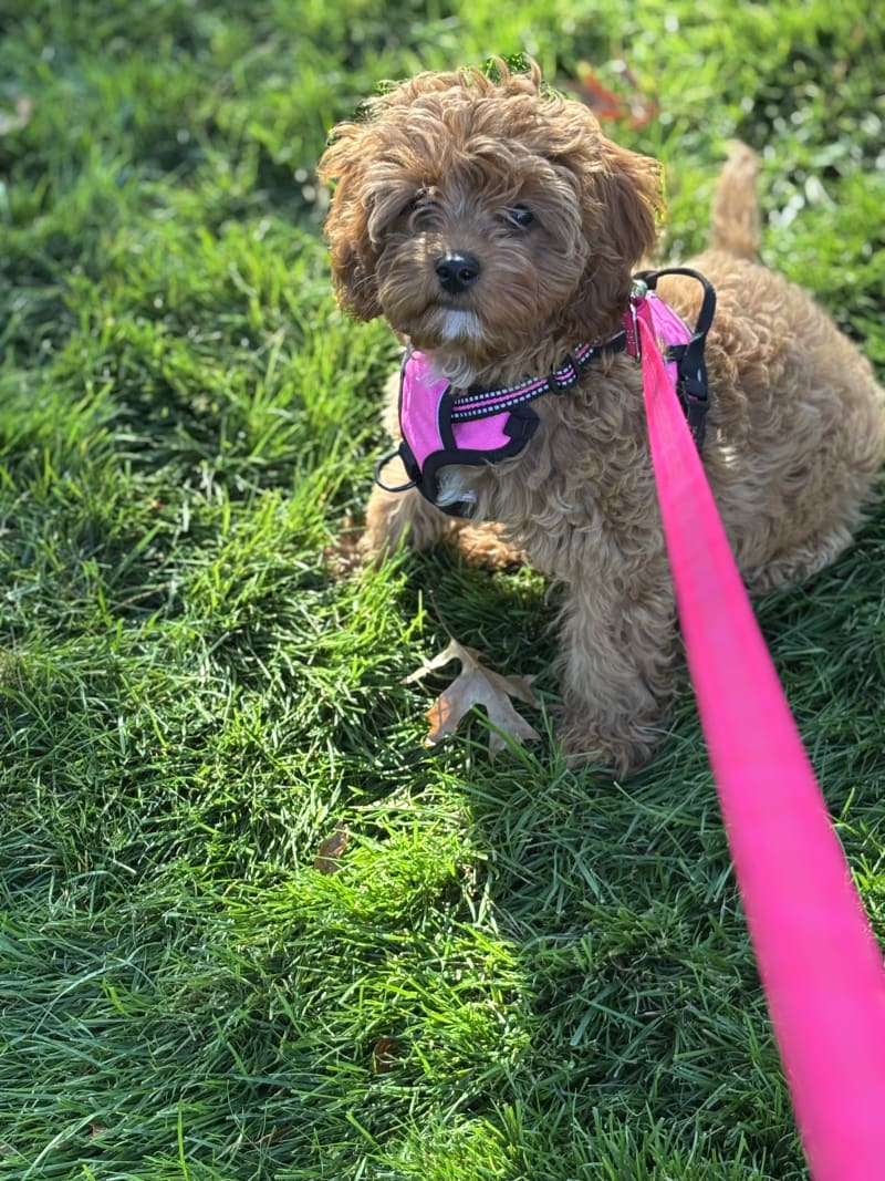 Photo from testimonial by Anonymous