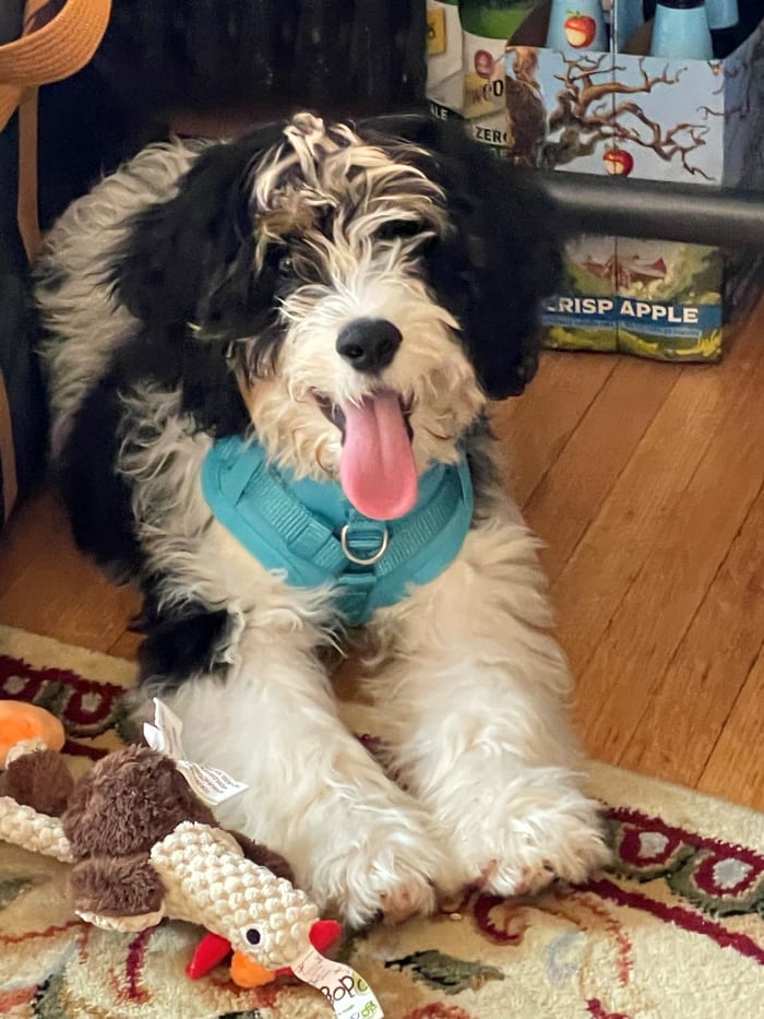 Photo from testimonial by Anonymous