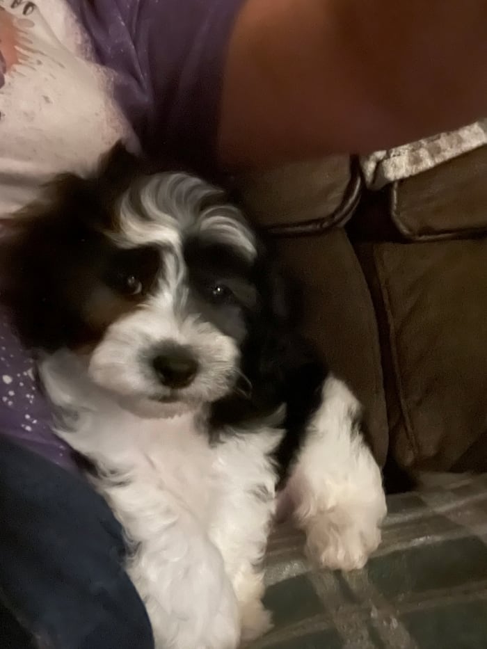 Photo from testimonial by Anonymous