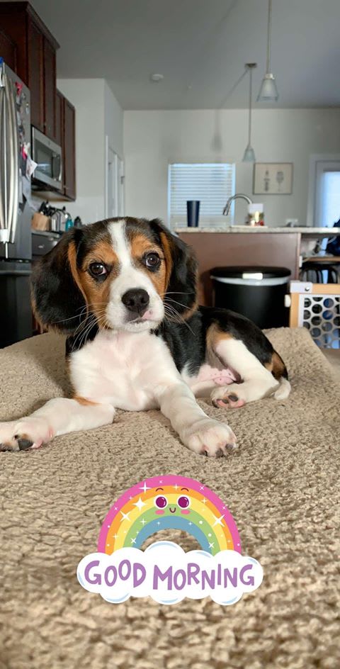 Photo from testimonial by Anonymous