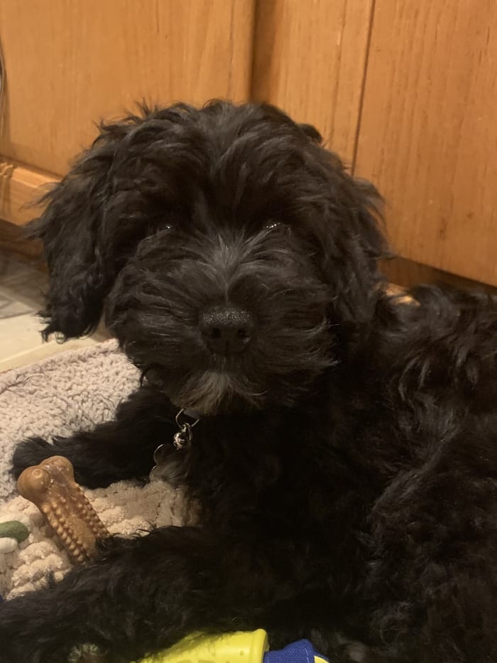 Photo from testimonial by Anonymous