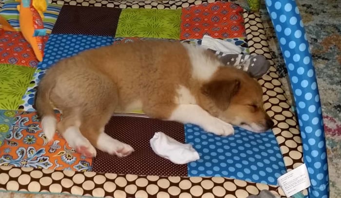 Photo from testimonial by Anonymous