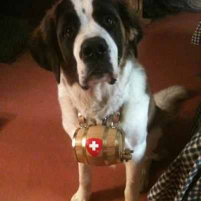 Photo from testimonial by Anonymous