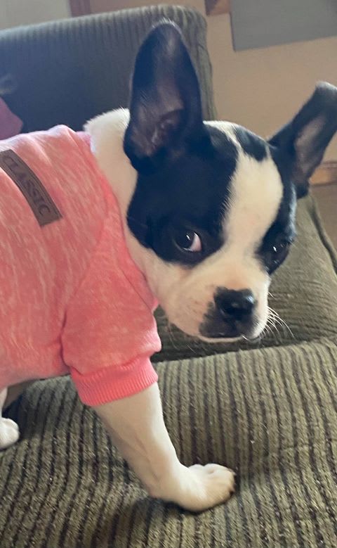 Photo from testimonial by Anonymous