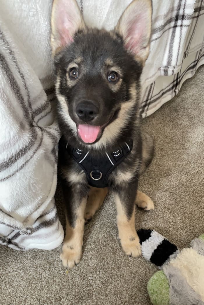 Photo from testimonial by Anonymous