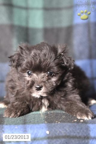 Photo from testimonial by Anonymous