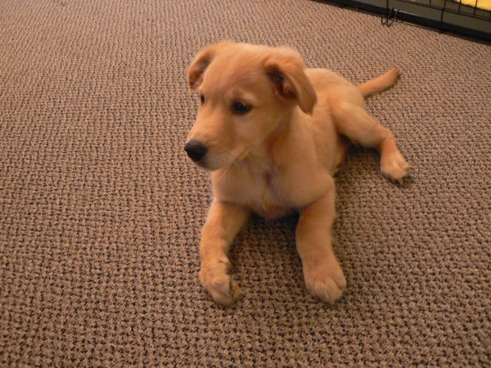 Photo from testimonial by Anonymous