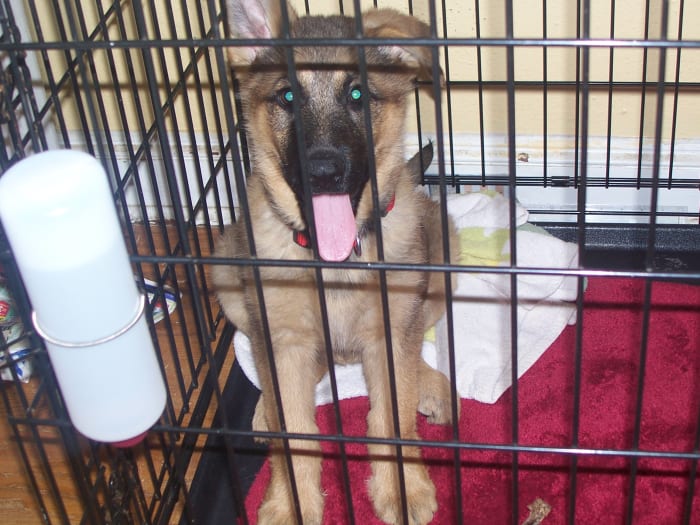 Photo from testimonial by Anonymous