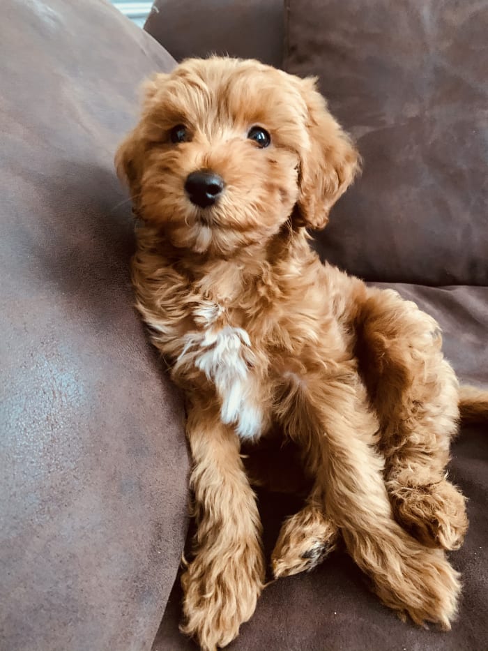 Photo from testimonial by Anonymous